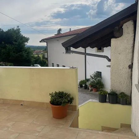 Saaan * Nova Gorica